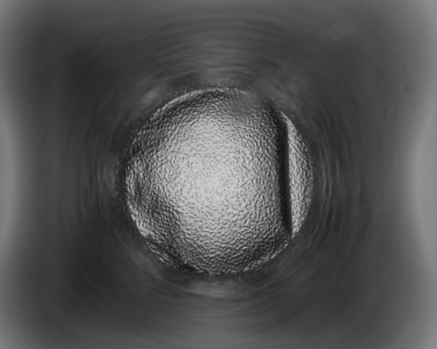 X0000086110712200704132209