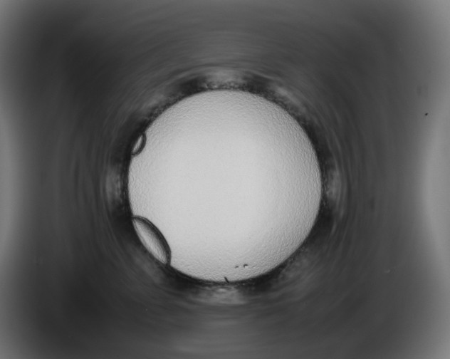 X0000086110715200704132209