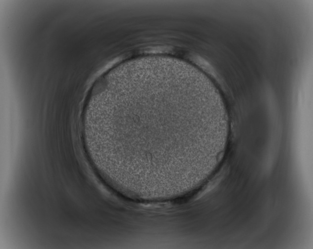 X0000086110721200704132208