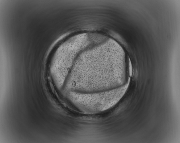 X0000086110724200704132208