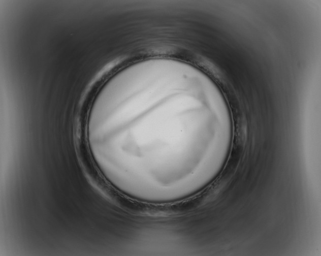 X0000086110726200704132208