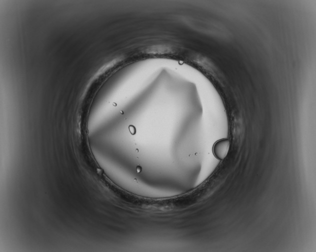 X0000086110727200704132208