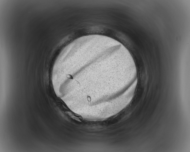 X0000086110729200704132208