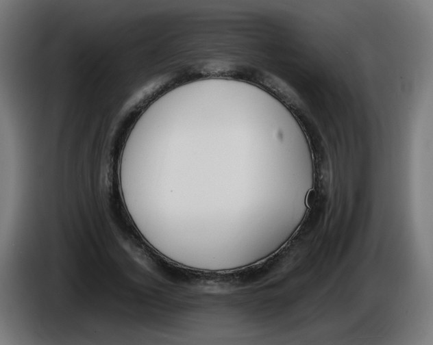 X0000086110732200704132208