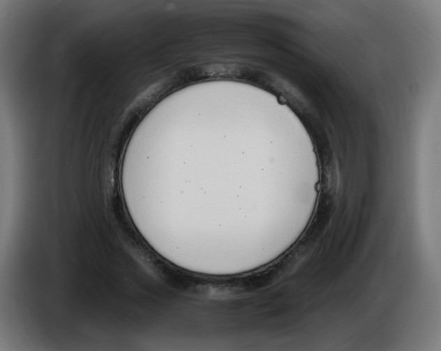 X0000086110733200704132208