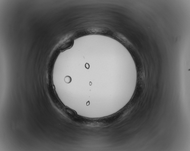 X0000086110734200704132208