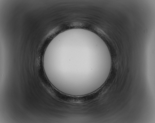 X0000086110735200704132208