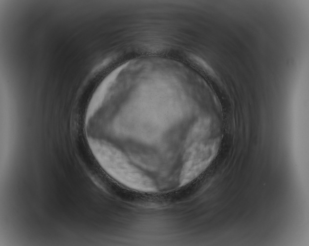 X0000086110736200704132208