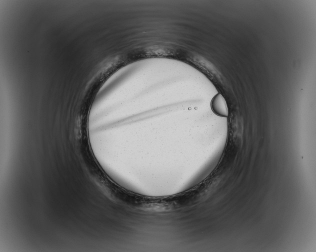 X0000086110738200704132208