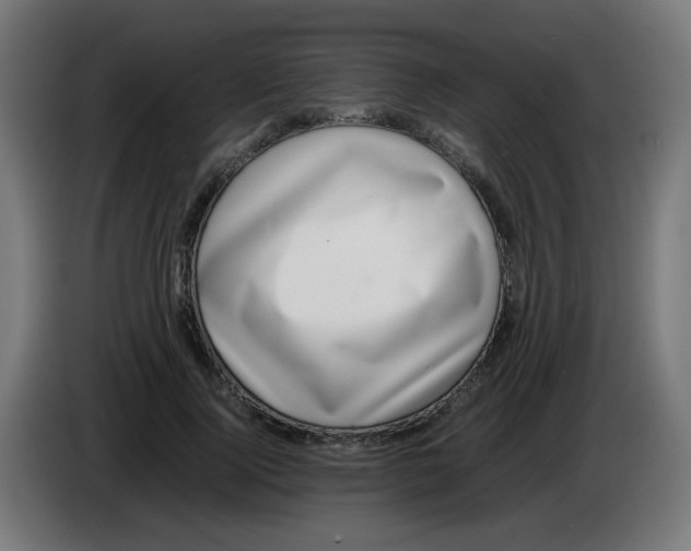 X0000086110740200704132208