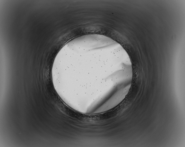 X0000086110745200704132209