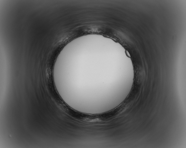 X0000086110747200704132209