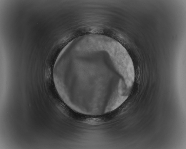 X0000086110748200704132209