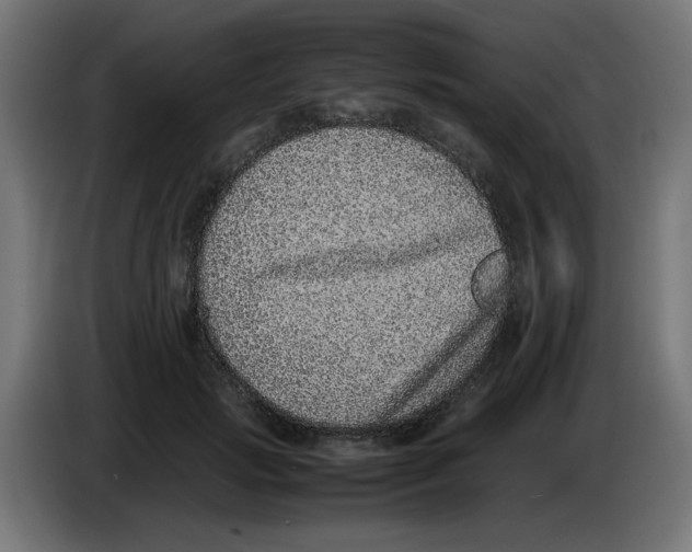 X0000086110749200704132209