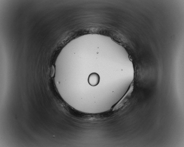 X0000086110750200704132209