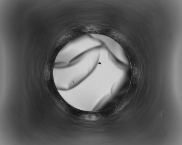 X0000086110751200704132209