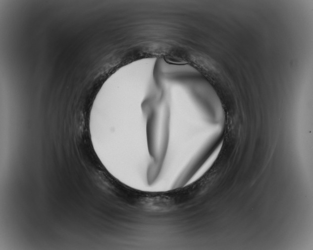 X0000086110752200704132209