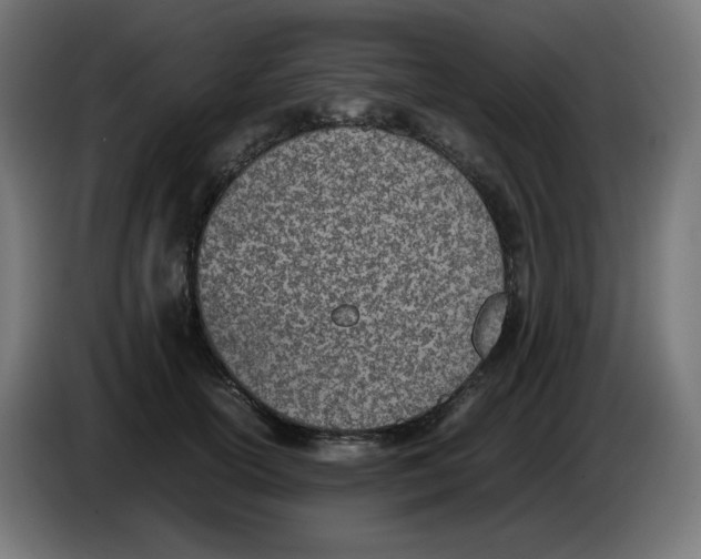 X0000086110754200704132209