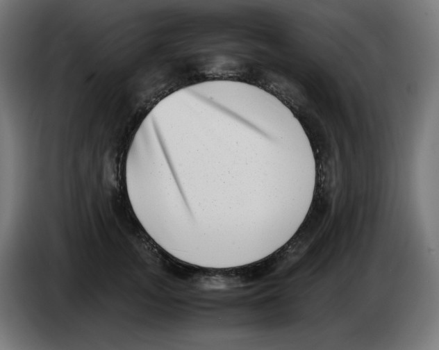 X0000086110755200704132209