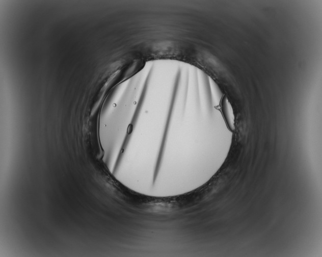 X0000086110756200704132209