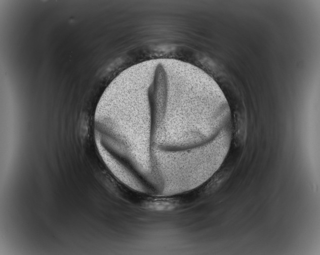 X0000086110758200704132209