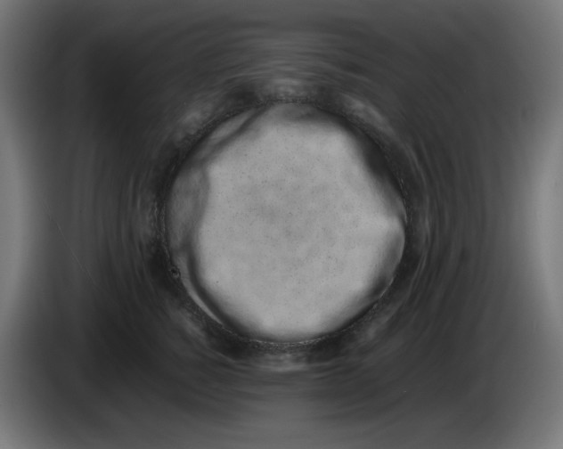 X0000086110760200704132209