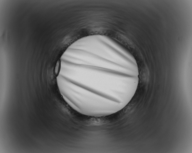 X0000086110764200704132209