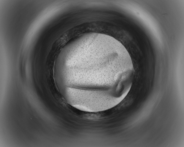 X0000086110765200704132209