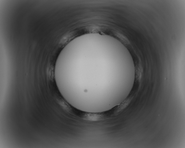 X0000086110766200704132209