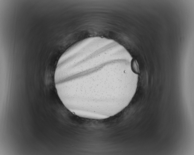 X0000086110770200704132208