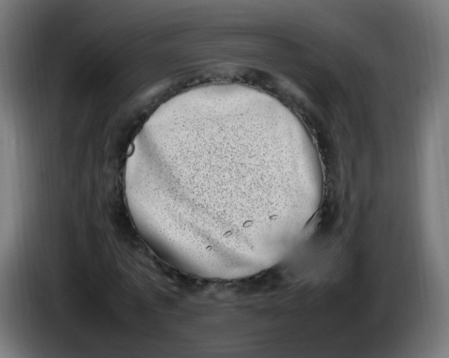 X0000086110773200704132208