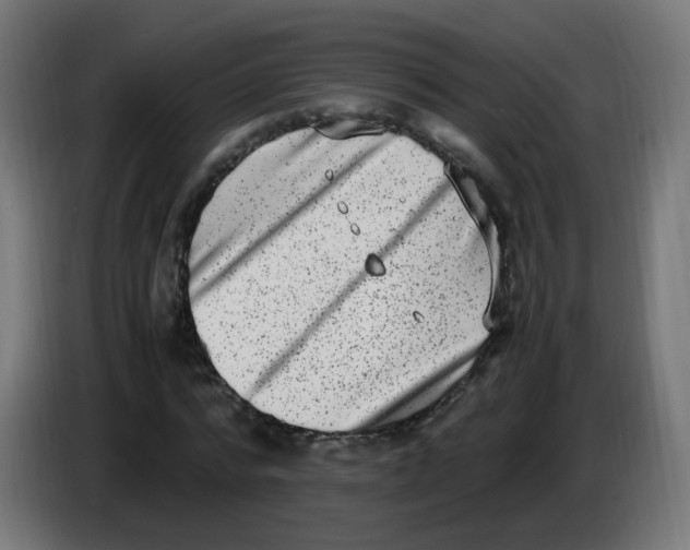 X0000086110776200704132208