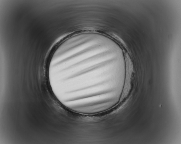 X0000086110779200704132208