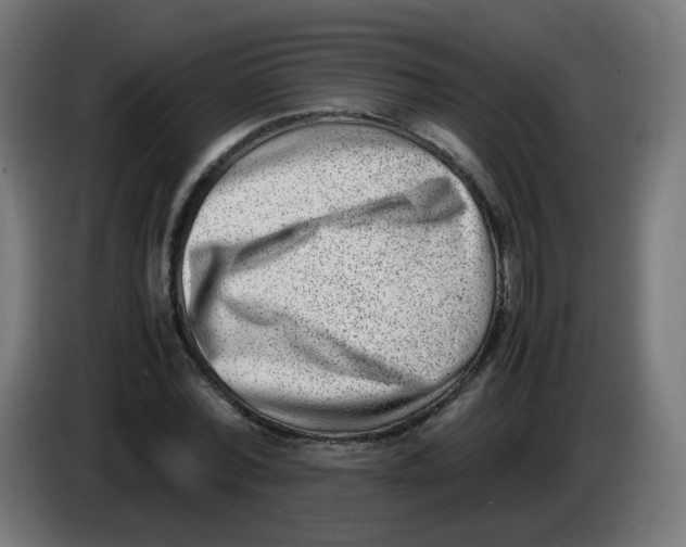 X0000086110780200704132208