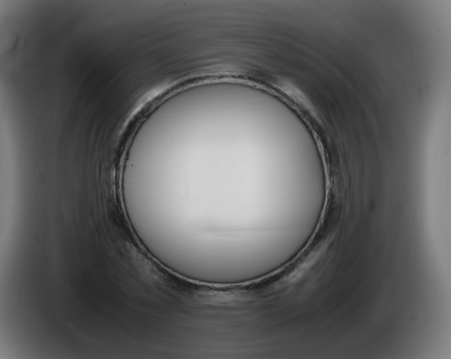 X0000086110781200704132208