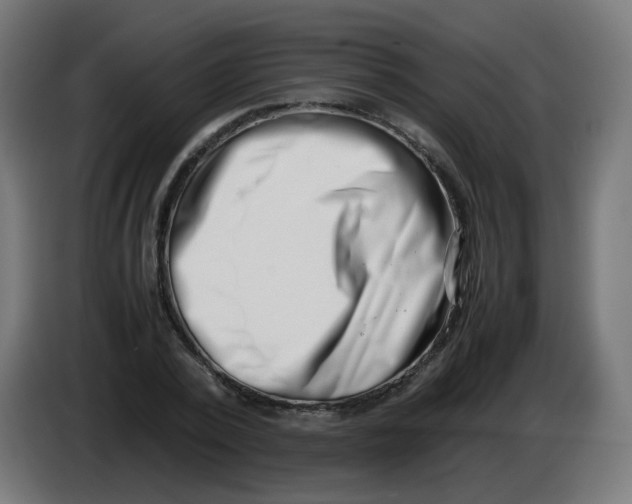 X0000086110784200704132208