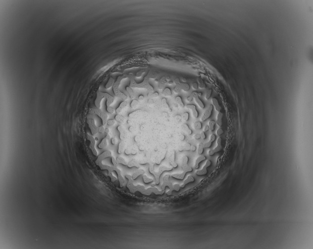 X0000086110785200704132208