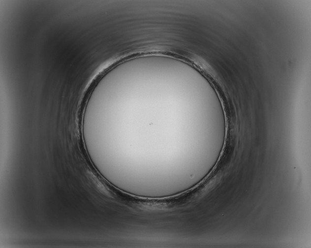 X0000086110789200704132208