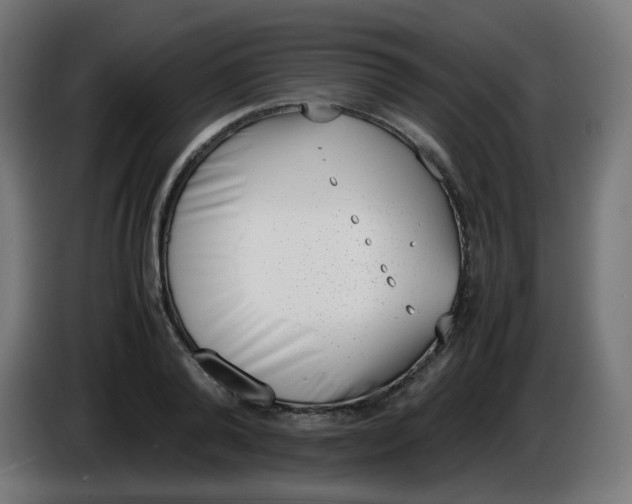 X0000086110792200704132208