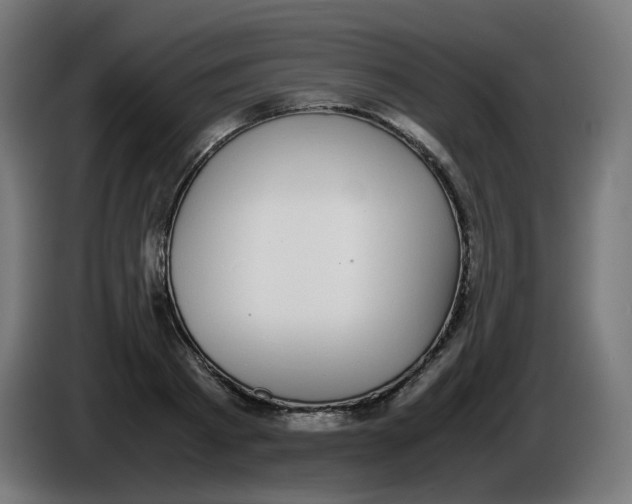 X0000086110793200704132208