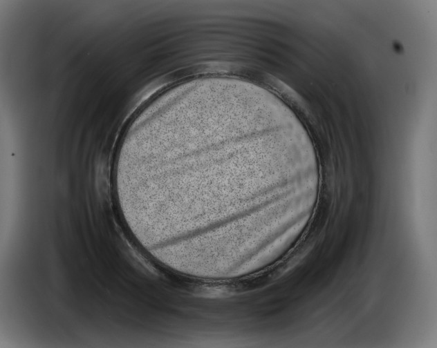 X0000086110794200704132208