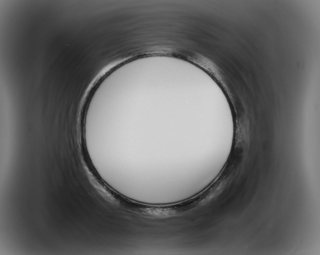 X0000086110795200704132208