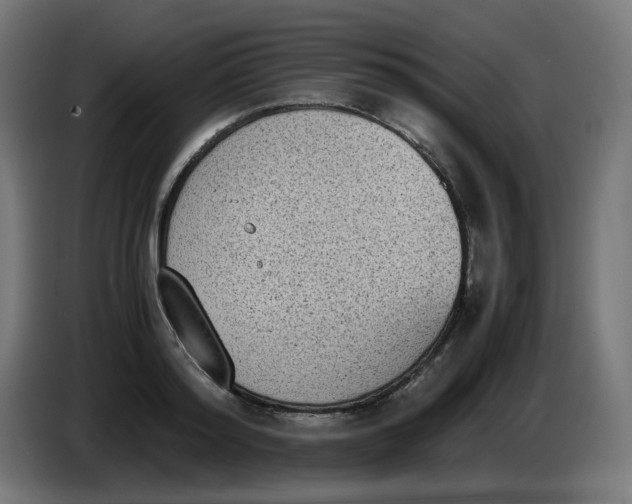 X0000086110796200704132208