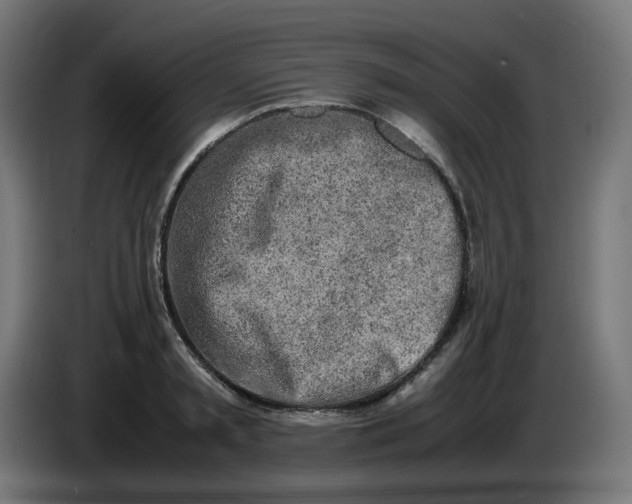 X0000086110797200704132208