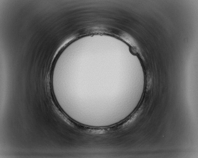 X0000086110798200704132208