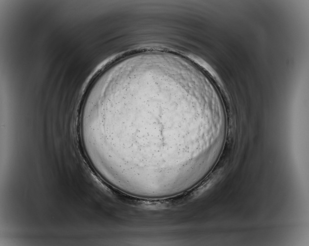 X0000086110799200704132208