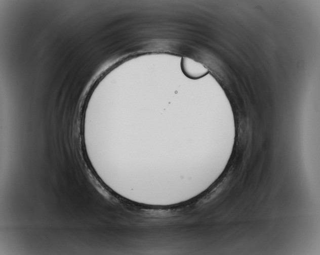 X0000086110800200704132208