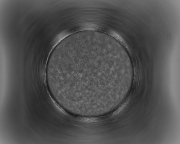 X0000086110802200704132208