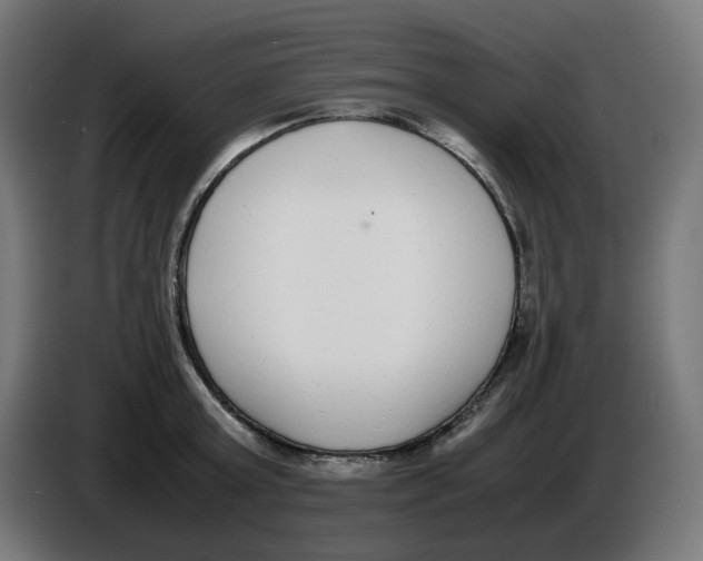 X0000086110803200704132208