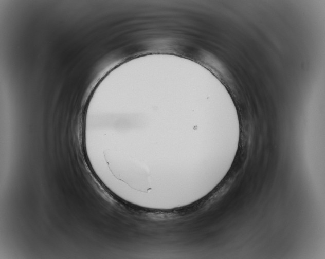 X0000086110804200704132208